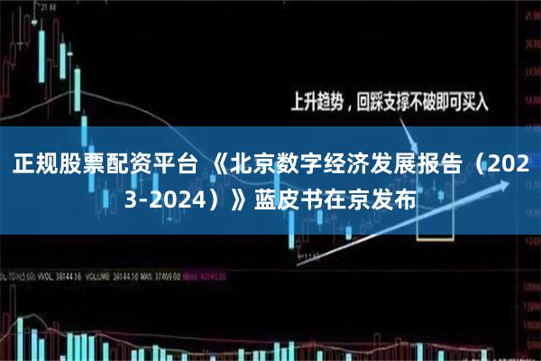 正规股票配资平台 《北京数字经济发展报告（2023-2024）》蓝皮书在京发布