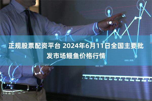 正规股票配资平台 2024年6月11日全国主要批发市场鳗鱼价格行情