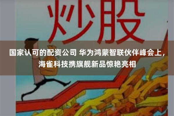 国家认可的配资公司 华为鸿蒙智联伙伴峰会上，海雀科技携旗舰新品惊艳亮相